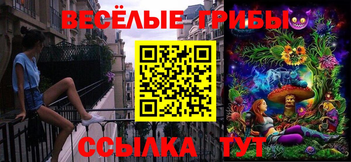 Псилоцибиновые грибы MAGIC MUSHROOMS Советская Гавань