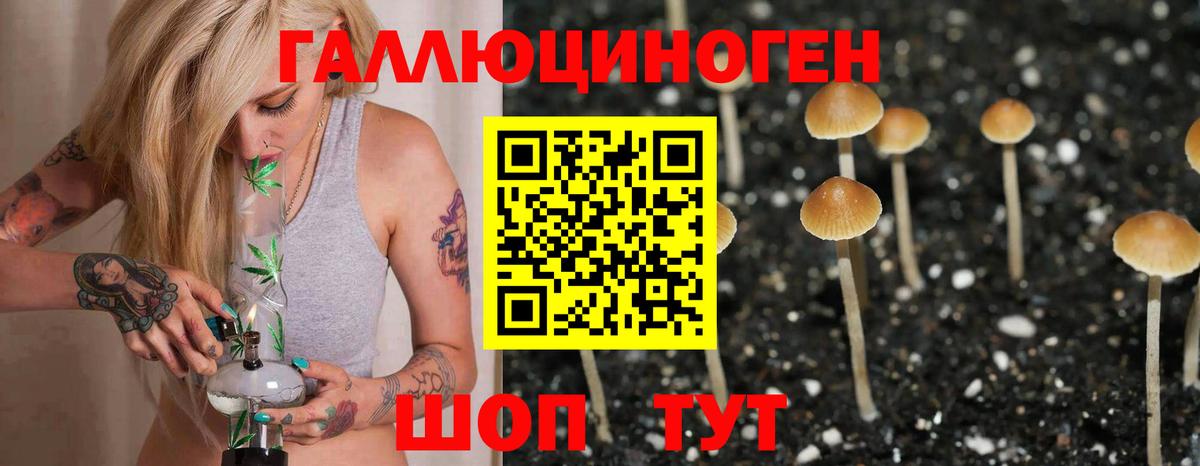 Советская Гавань  Галлюциногенные грибы мицелий  Вход с VPN 